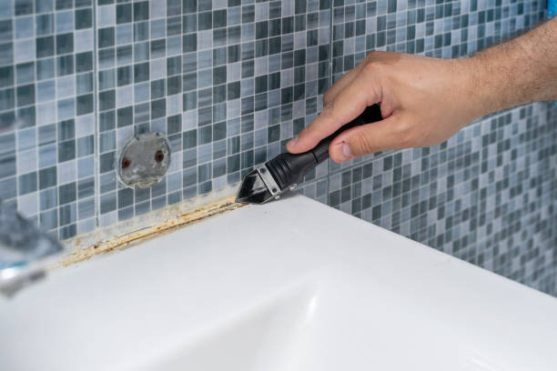 Best Certified Mold Removal  in Indian Hills, NV